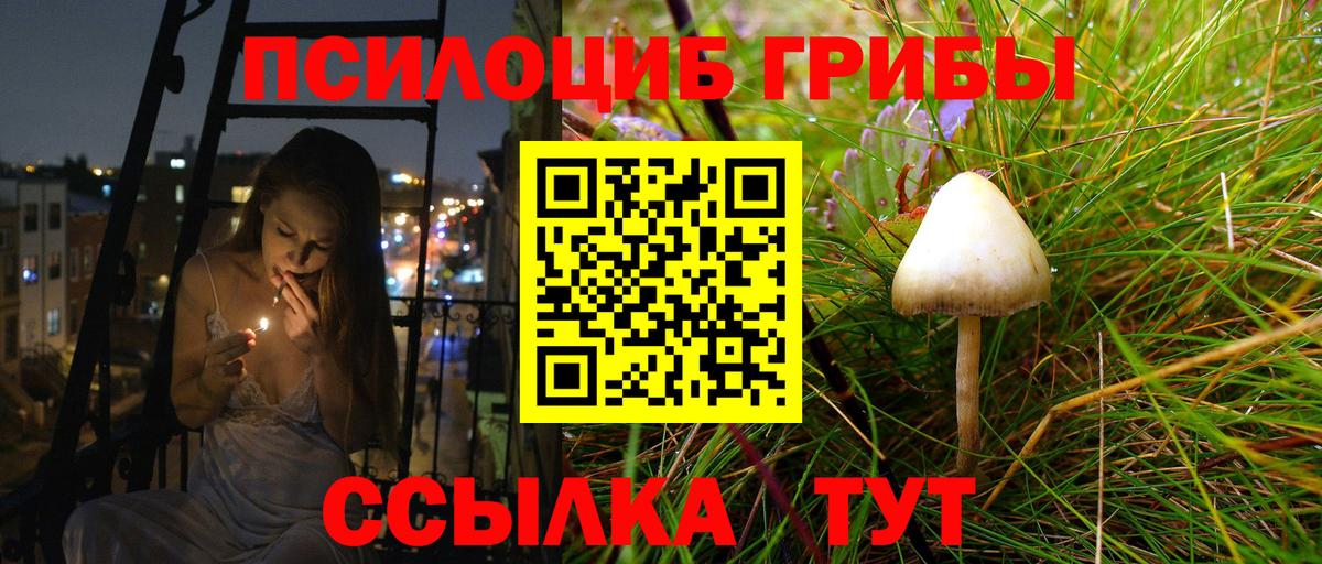 Ржев  Галлюциногенные грибы мухоморы  Вход с VPN 